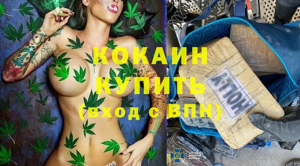 PSILOCYBIN Богородицк